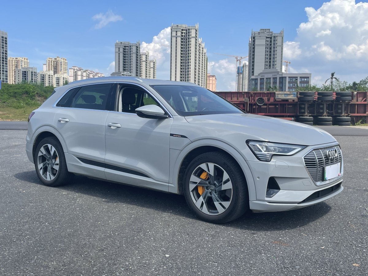 2022年1月奧迪 奧迪Q7新能源  2019款 55 e-tron