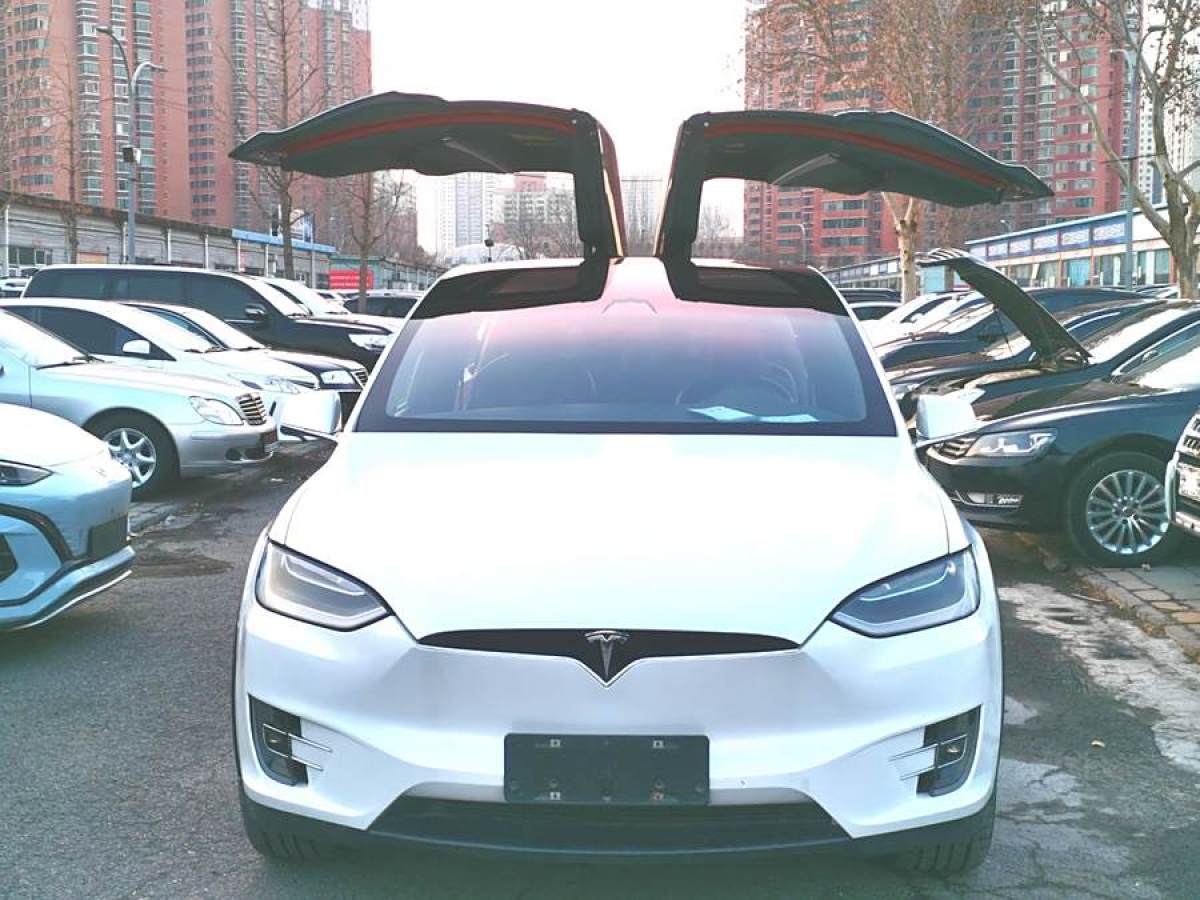 特斯拉 Model X  2016款 Model X 90D圖片