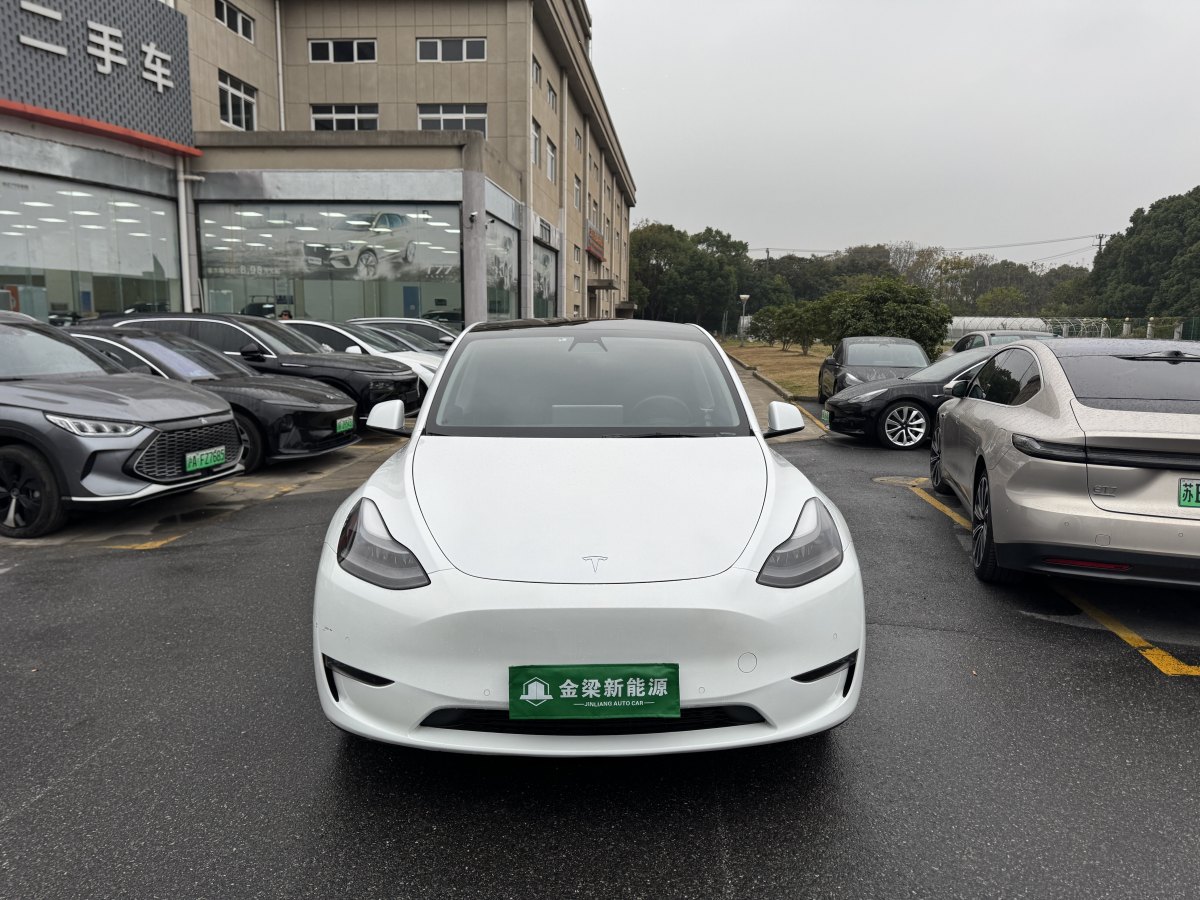 特斯拉 Model Y  2021款 長(zhǎng)續(xù)航全輪驅(qū)動(dòng)版 3D7圖片