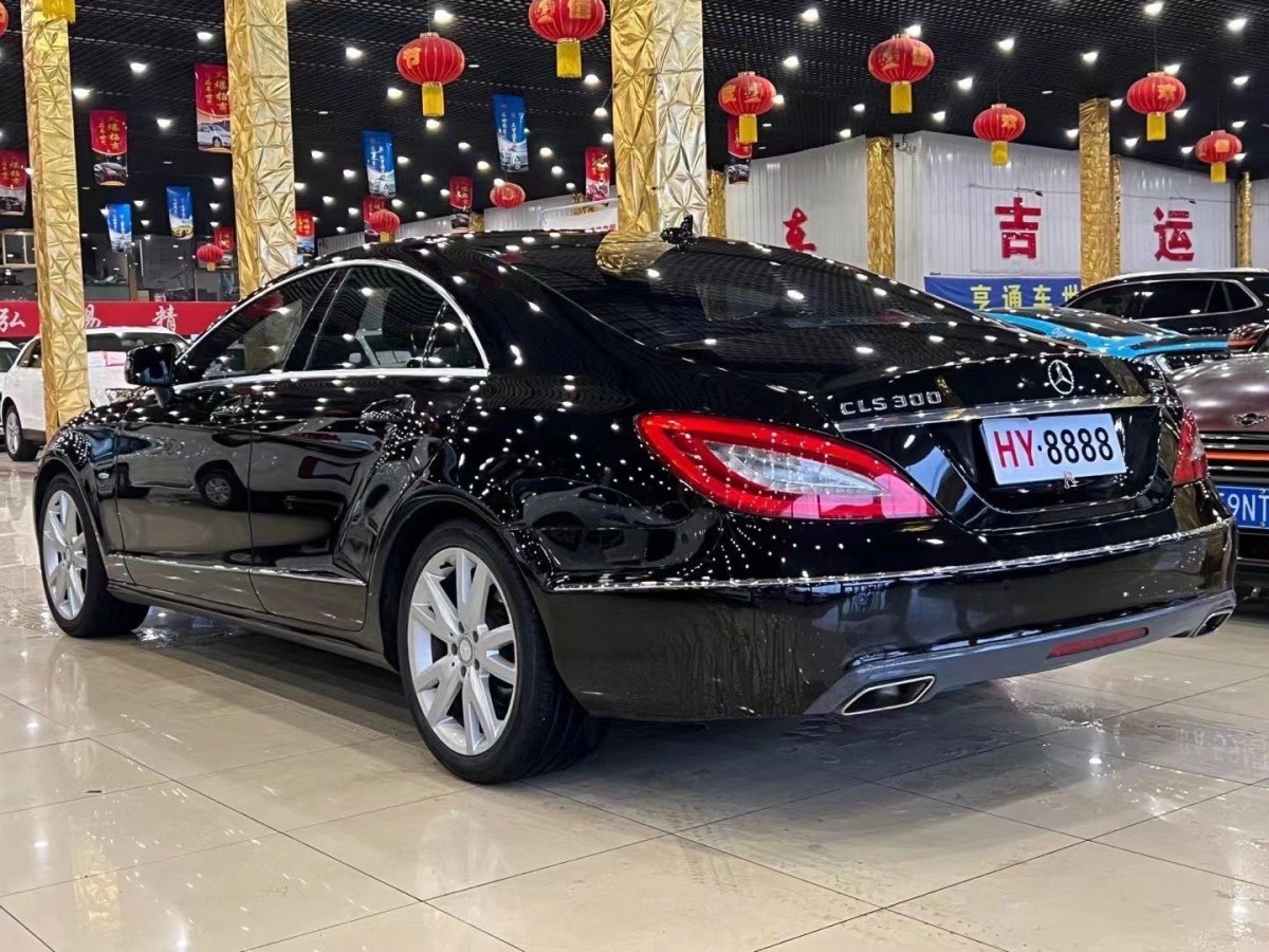 奔馳 奔馳CLS級(jí)  2012款 CLS 300 CGI圖片