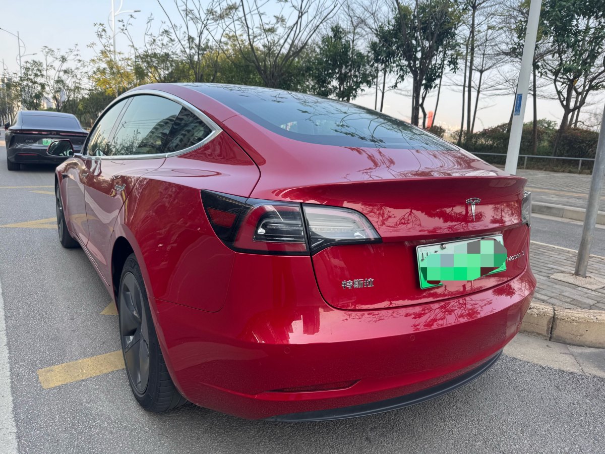 特斯拉 Model 3  2020款 改款 標(biāo)準(zhǔn)續(xù)航后驅(qū)升級版圖片