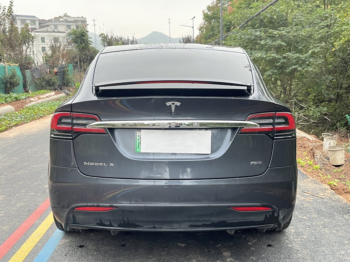 特斯拉 Model X  2016款 Model X 75D圖片