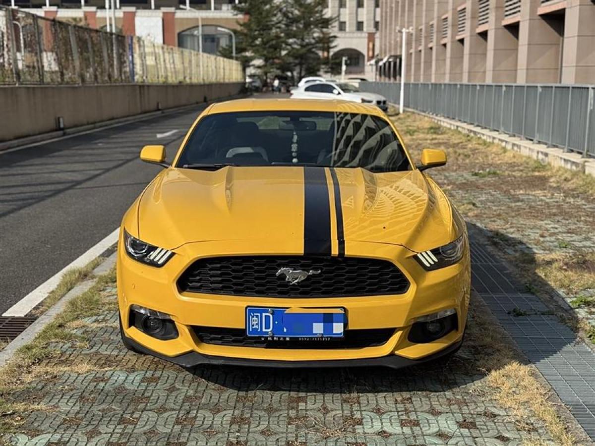 福特 Mustang  2015款 2.3T 50周年紀念版圖片