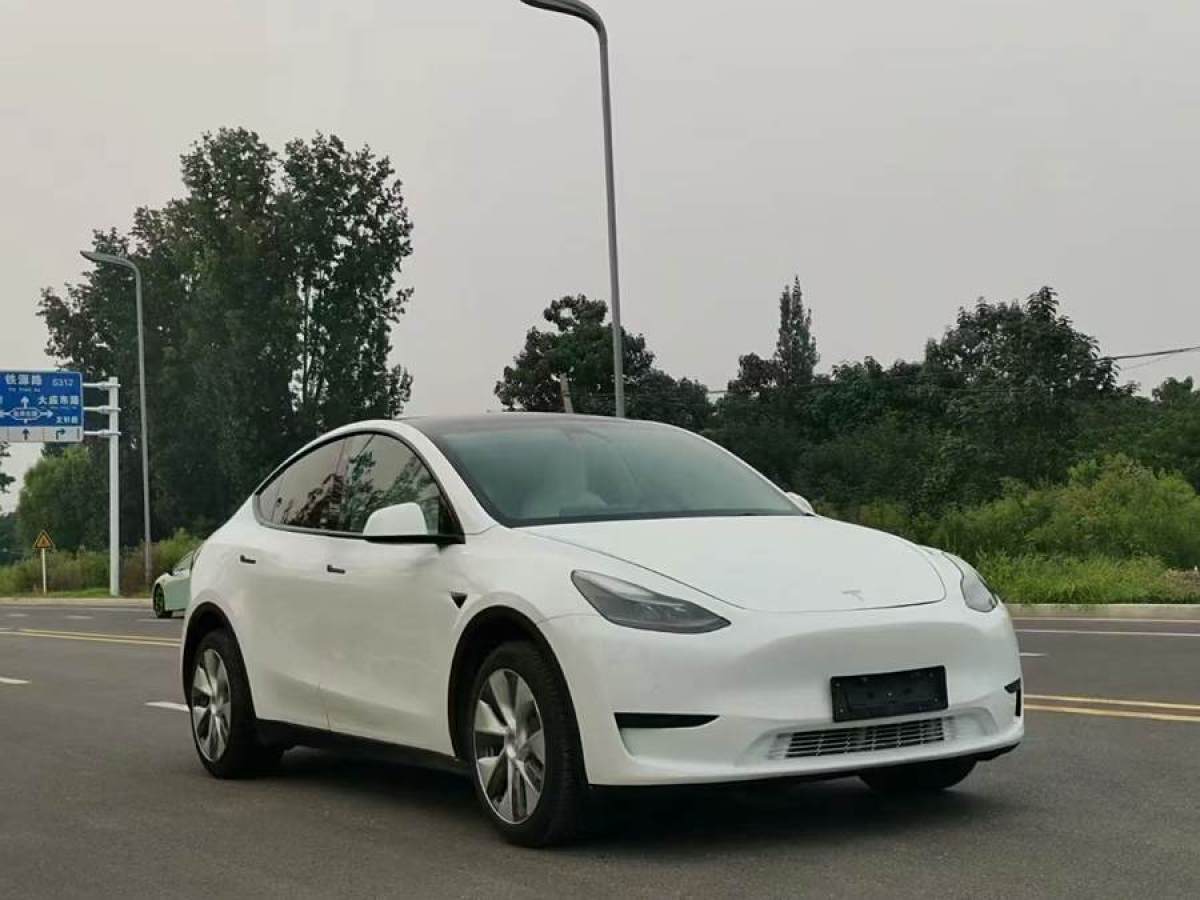 特斯拉 Model Y  2020款 改款 長(zhǎng)續(xù)航后輪驅(qū)動(dòng)版圖片