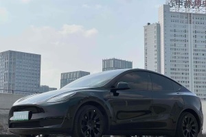 Model Y 特斯拉 改款 后輪驅(qū)動(dòng)版