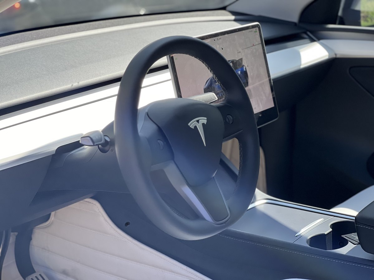 特斯拉 Model Y  2022款 Performance高性能全輪驅(qū)動(dòng)版圖片