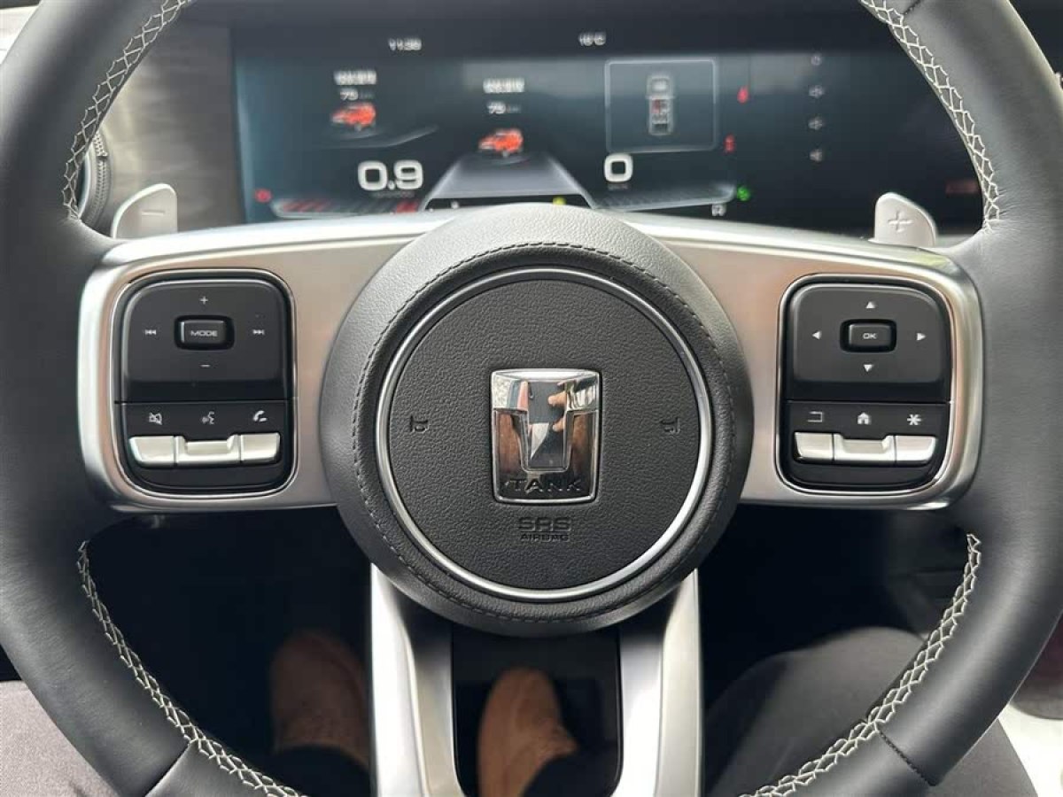 坦克 坦克300  2021款 城市版 2.0T 很有型圖片