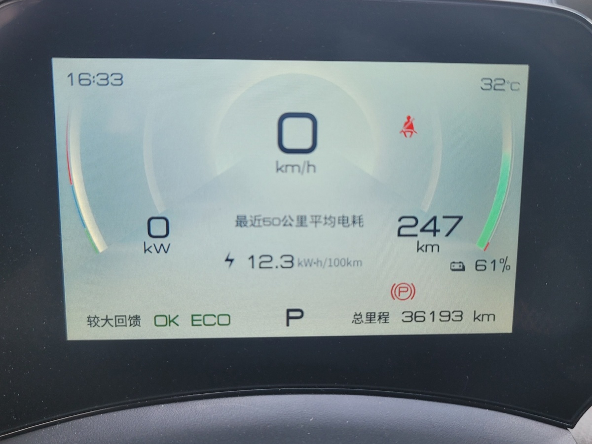 2021年10月比亞迪 海豚  2021款 405km 時尚版