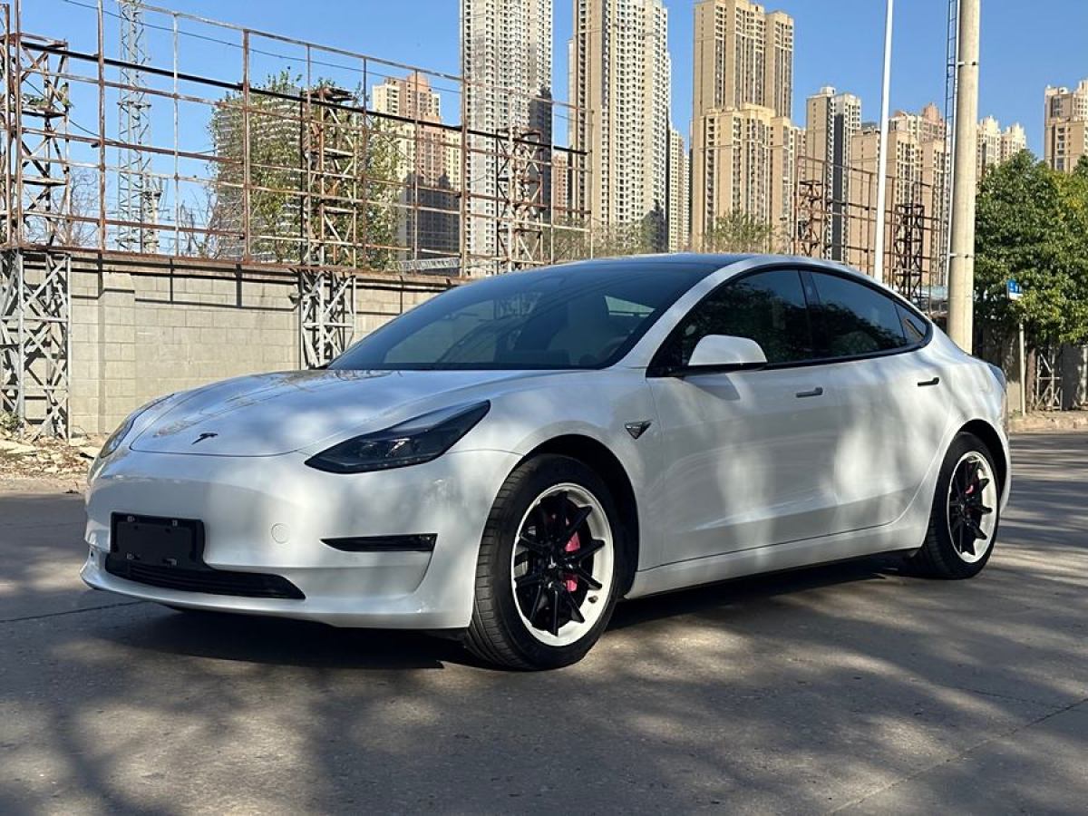 特斯拉 Model 3  2020款 改款 長(zhǎng)續(xù)航后輪驅(qū)動(dòng)版圖片