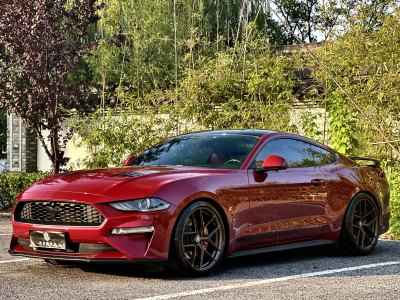 2021年4月 福特 Mustang(進(jìn)口) 2.3L EcoBoost 黑曜魅影特別版圖片