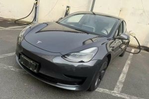 Model 3 特斯拉 Performance高性能全轮驱动版