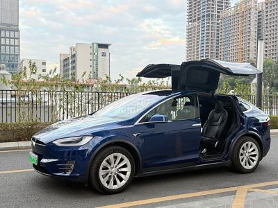 2017年7月 特斯拉 Model X Model X 100D 長續(xù)航版圖片