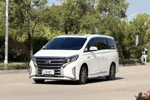 M8 廣汽傳祺 領(lǐng)秀系列 390T 尊貴福祉版
