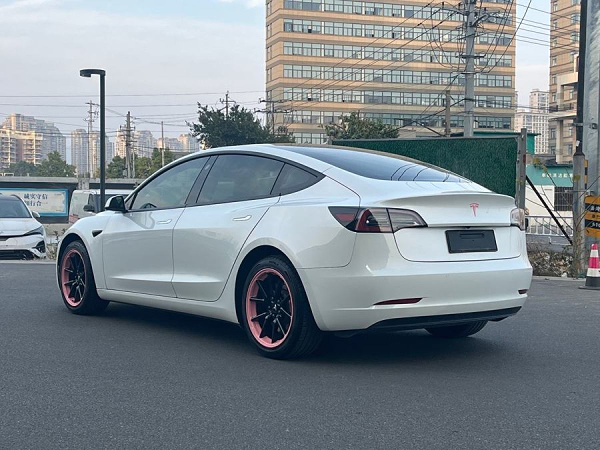 特斯拉 Model 3  2019款 標準續(xù)航后驅(qū)升級版圖片