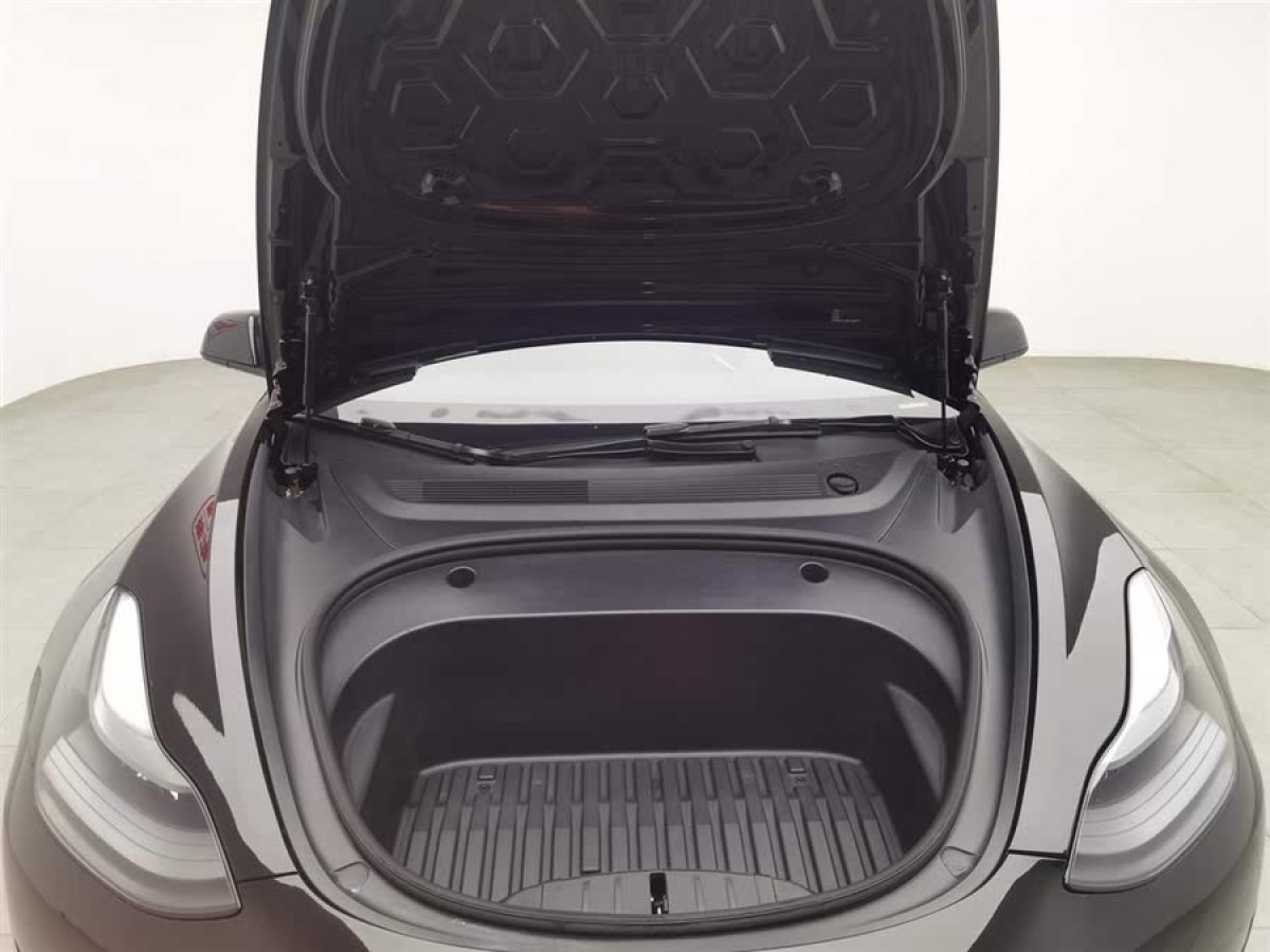 特斯拉 Model 3  2021款 標(biāo)準(zhǔn)續(xù)航后驅(qū)升級(jí)版 3D6圖片