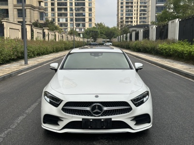 奔馳 奔馳CLS級(jí)(進(jìn)口) CLS 300 豪華型圖片