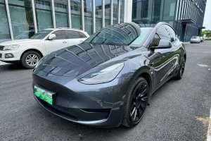 Model Y 特斯拉 改款 后輪驅(qū)動版