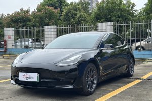 Model 3 特斯拉 改款 標準續(xù)航后驅升級版