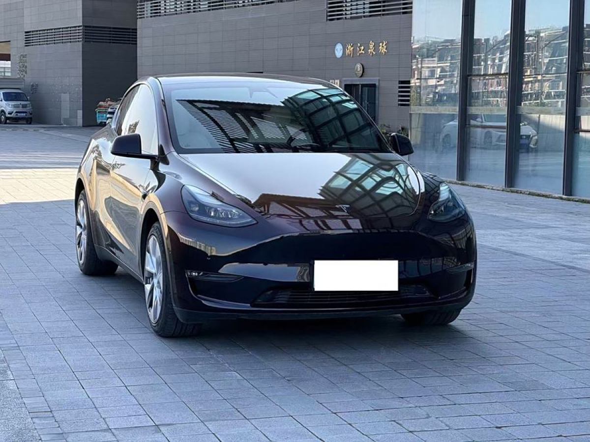 特斯拉 Model Y  2021款 改款 長(zhǎng)續(xù)航全輪驅(qū)動(dòng)版圖片