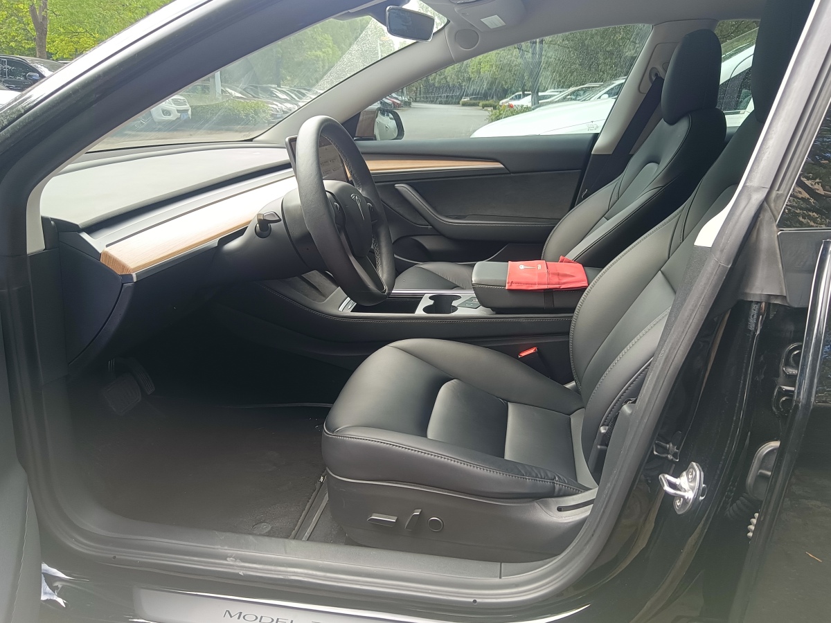 特斯拉 Model 3  2021款 標(biāo)準(zhǔn)續(xù)航后驅(qū)升級(jí)版 3D6圖片