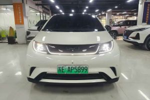 海豚 比亞迪 榮耀版 302km 活力版