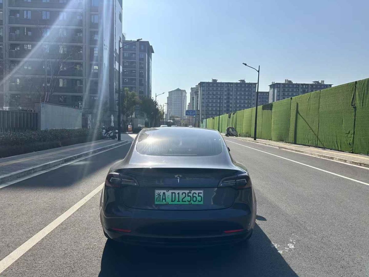 特斯拉 Model S  2019款 Performance 高性能版圖片