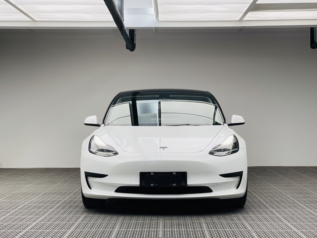 特斯拉 Model 3  2021款 改款 標(biāo)準(zhǔn)續(xù)航后驅(qū)升級版圖片