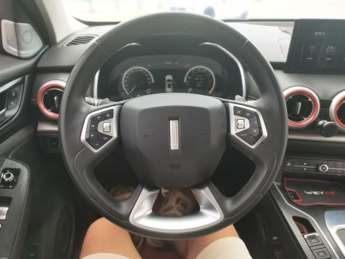 WEY VV6  2019款  2.0T 两驱超豪型 国VI图片