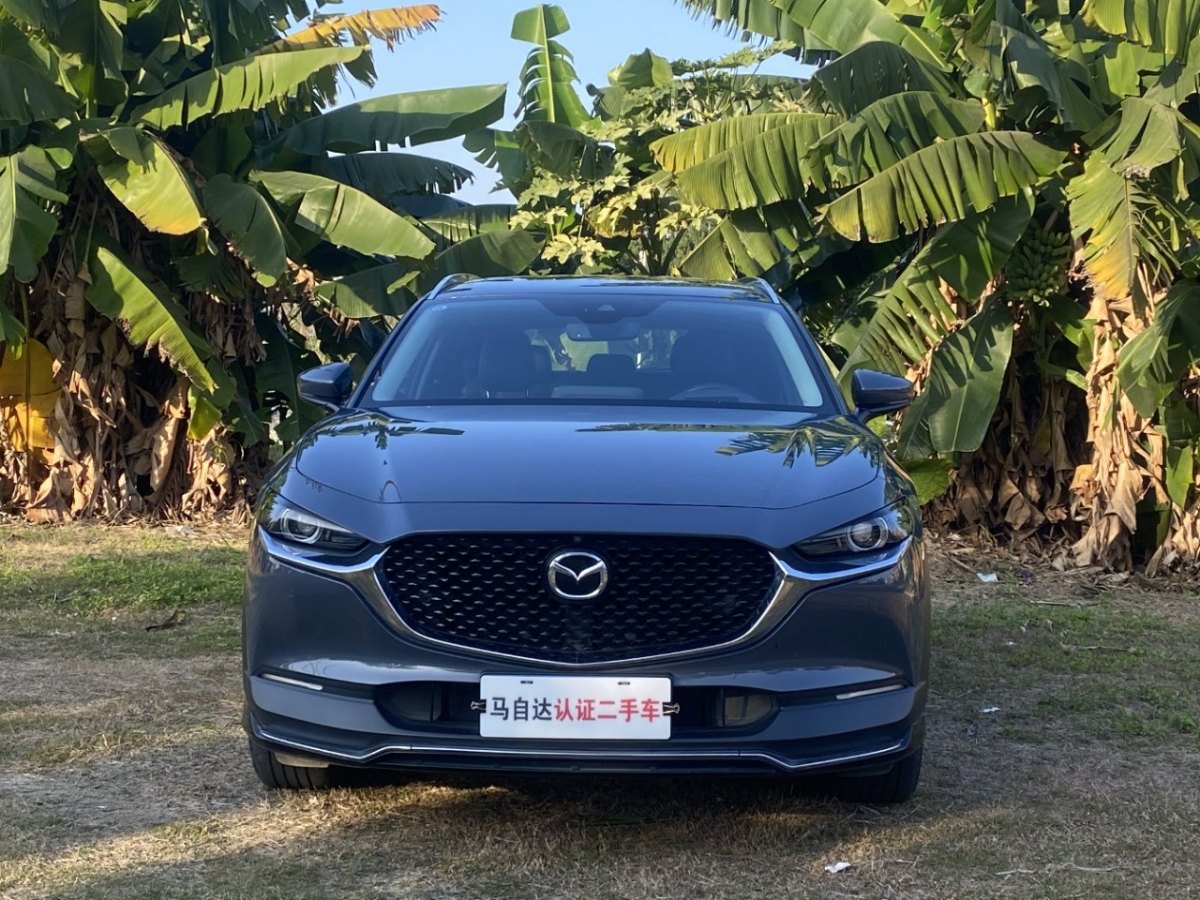 馬自達(dá) CX-30  2020款 2.0L X壓燃尊榮型圖片