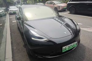 Model S 特斯拉 Performance 高性能版