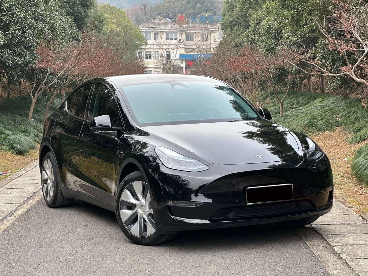 特斯拉 Model 3  2021款 改款 Performance高性能全輪驅動版圖片