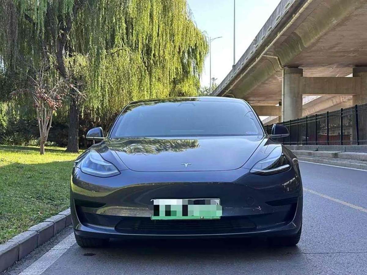 特斯拉 Model Y  2020款 改款 標準續(xù)航后驅(qū)升級版圖片