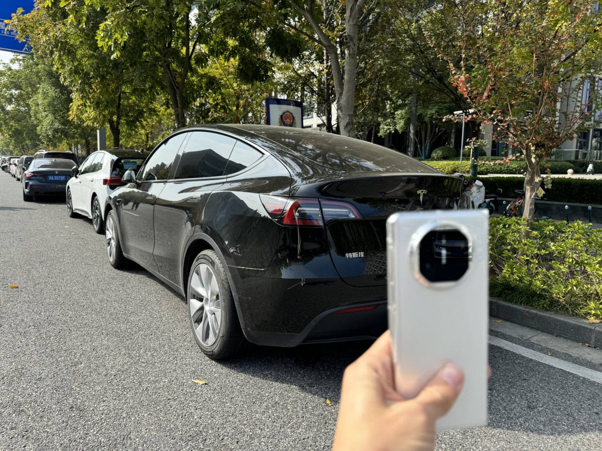 特斯拉 Model Y  2022款 后輪驅(qū)動版圖片