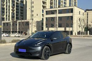 Model 3 特斯拉 改款 長續(xù)航后輪驅(qū)動版