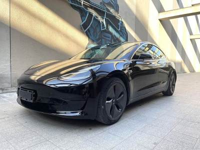 2020年7月 特斯拉 Model 3 改款 標(biāo)準(zhǔn)續(xù)航后驅(qū)升級(jí)版圖片