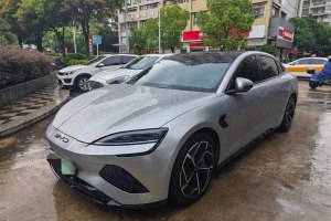 海豹 比亞迪 650km 四驅(qū)性能版