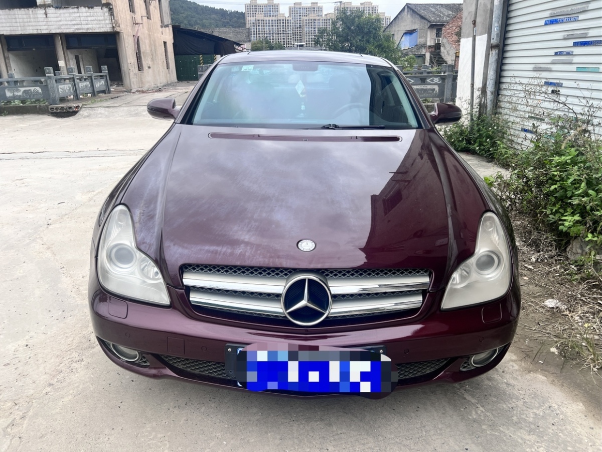 奔馳 奔馳CLS級  2009款 CLS 300圖片