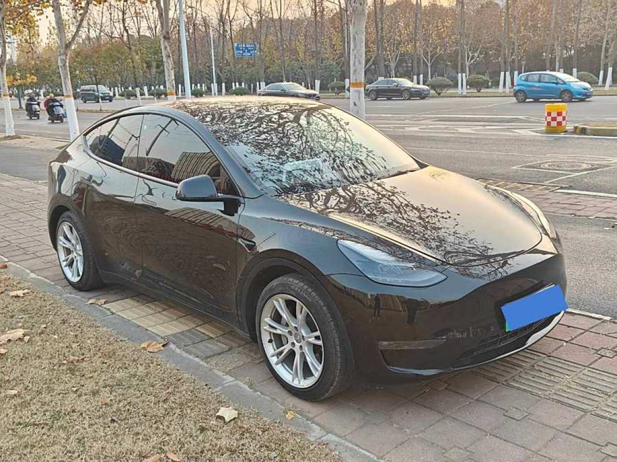 特斯拉 Model Y  2022款 改款 長(zhǎng)續(xù)航全輪驅(qū)動(dòng)版圖片