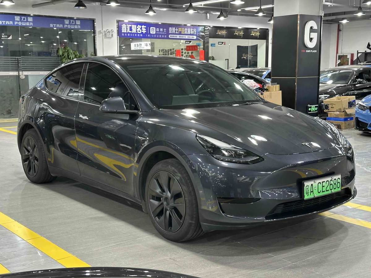 特斯拉 Model Y  2020款 改款 長續(xù)航后輪驅(qū)動版圖片