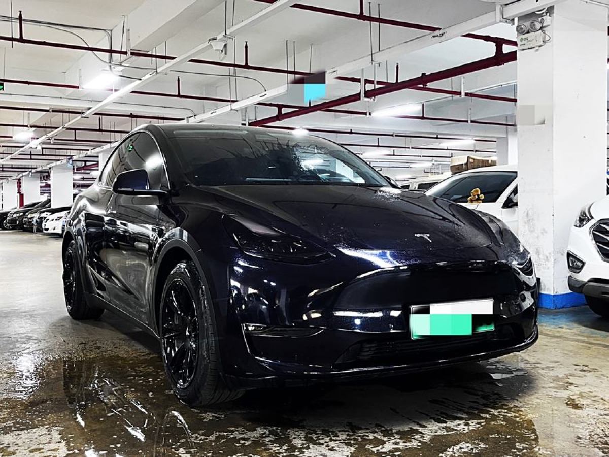 特斯拉 Model 3  2021款 改款 標準續(xù)航后驅升級版圖片