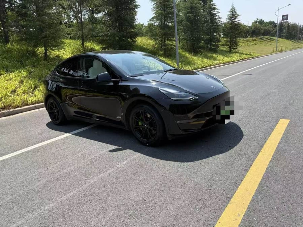 特斯拉 Model Y  2021款 標(biāo)準(zhǔn)續(xù)航后驅(qū)版圖片