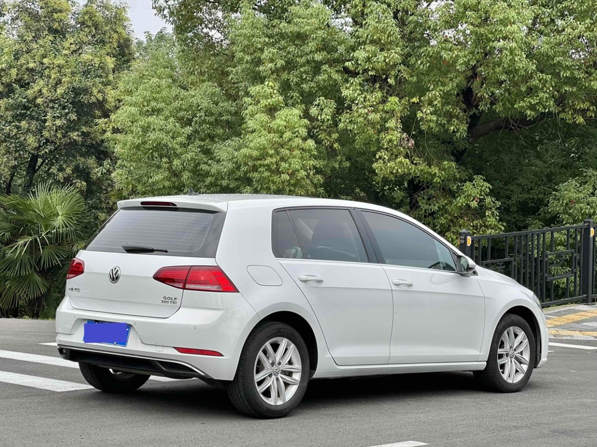 2019年1月大眾 高爾夫  2019款 280TSI 手動(dòng)舒適型