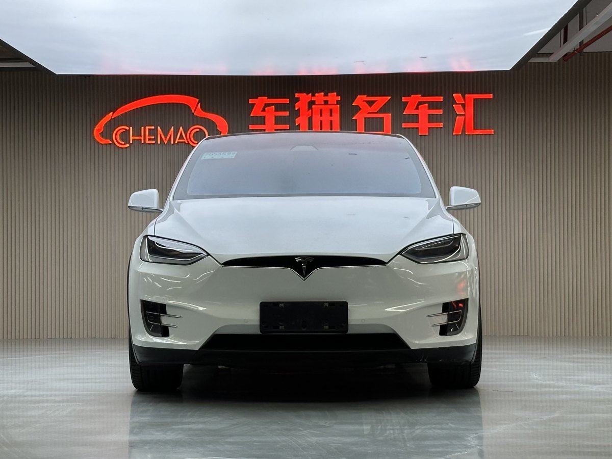 特斯拉 Model X  2016款 Model X 75D圖片