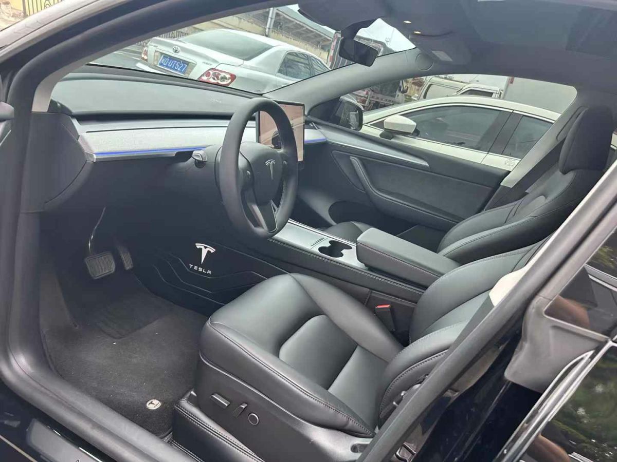 特斯拉 Model Y  2024款 Performance高性能版圖片