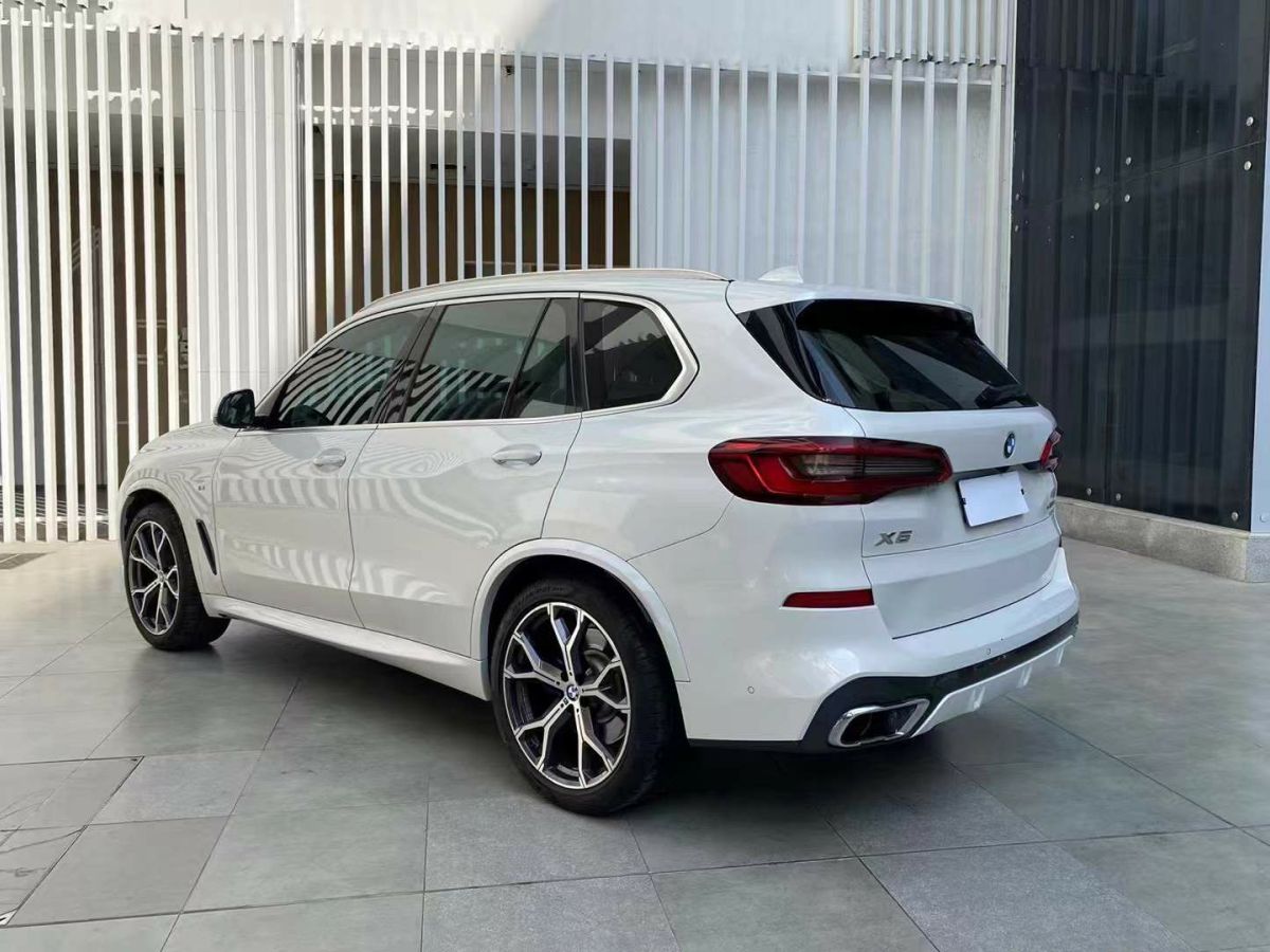 寶馬 寶馬X5  2019款 xDrive30i X設(shè)計(jì)套裝圖片