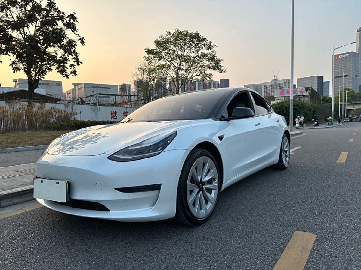 2019年12月特斯拉 Model 3  2019款 長續(xù)航全輪驅(qū)動(dòng)版