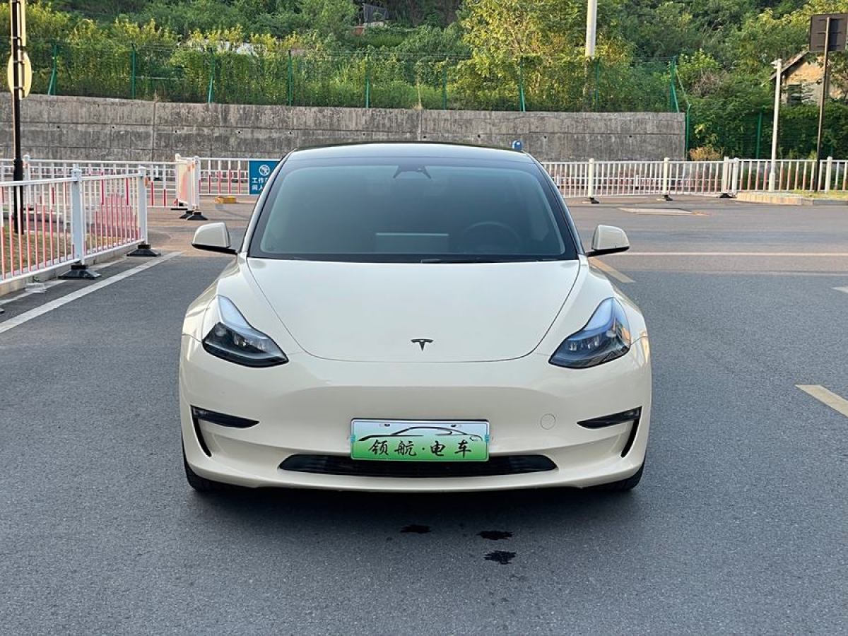 特斯拉 Model Y  2022款 Performance高性能全輪驅(qū)動(dòng)版圖片