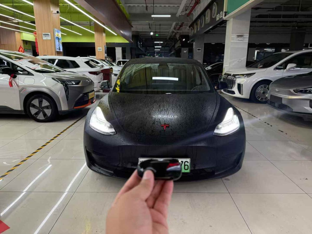 特斯拉 Model X  2020款 Performance 高性能版圖片
