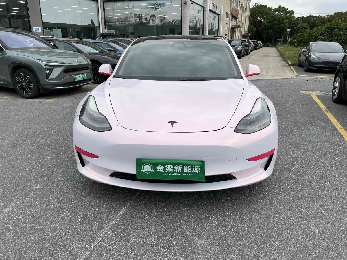 特斯拉 Model Y  2021款 標(biāo)準(zhǔn)續(xù)航后驅(qū)升級(jí)版 3D6圖片