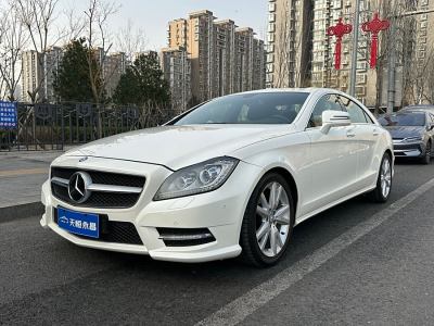 2015年1月 奔馳 奔馳CLS級(進(jìn)口) CLS 300 CGI圖片